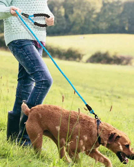 RETOO EazyPet šuns pavadėlis treniruočių, 150 cm, šviesą atspindintis
