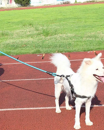 RETOO EazyPet šuns pavadėlis treniruočių, 150 cm, šviesą atspindintis