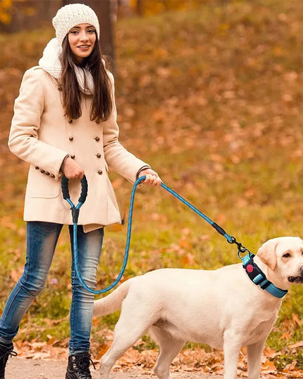 RETOO EazyPet šuns pavadėlis treniruočių, 150 cm, šviesą atspindintis