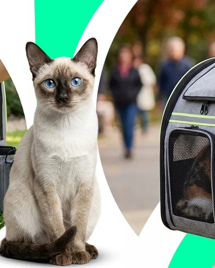 RETOO kuprinė-transporteris katei, šuniui, triušiui su išskleidžiamu maniežu