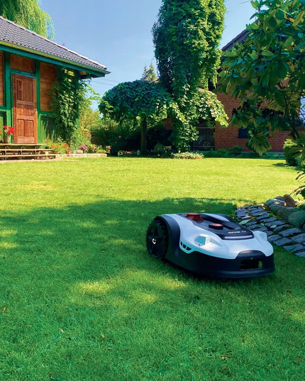 Robot vejapjovė Cedrus L20 C-MOW, automatinė vejos pjovimo kosiarka, 2000m² WiFi
