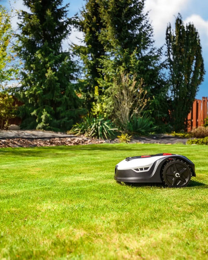 Robot vejapjovė Cedrus L20 C-MOW, automatinė vejos pjovimo kosiarka, 2000m² WiFi