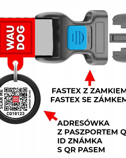 Ryškus nailoninis šunų antkaklis Waudog su QR kodu, raštas Vasara, fastex sagtis, XL dydis