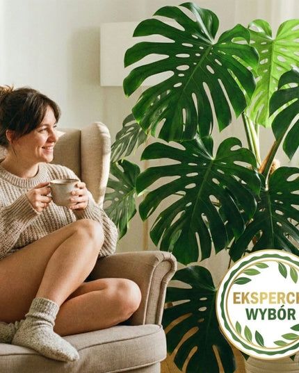 Sanium System rinkinys nuo grybinių uodukų (zemiórki) 50 ml + 24 vnt. gaudyklių, purškimui ir laistymui