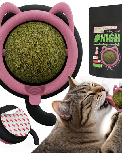 Savaime limpantis kačių žaislas su katžole KittyTech #HIGH