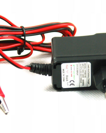 Skaitmeninis gelinių akumuliatorių įkroviklis 12V 1000 mA