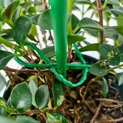 Sodo diržai augalams ir šakoms rišti žali, 60 vnt., 13 cm, 17 cm, 23 cm