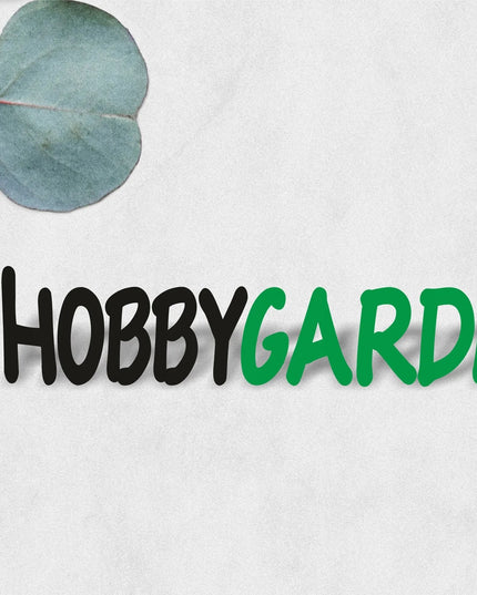 Sodo kėdė - fotelis su pagalve - Hobbygarden sulankstomas gultas Glaxy Light