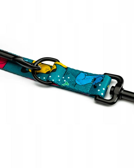 Spalvotas reguliuojamas pavadėlis šunims 4 Funky Pawty Vibes 1,6 cm / 300 cm – S/M