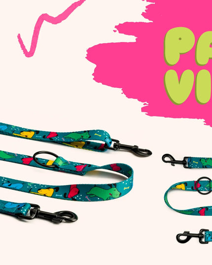 Spalvotas reguliuojamas pavadėlis šunims 4 Funky Pawty Vibes 1,6 cm / 300 cm – S/M