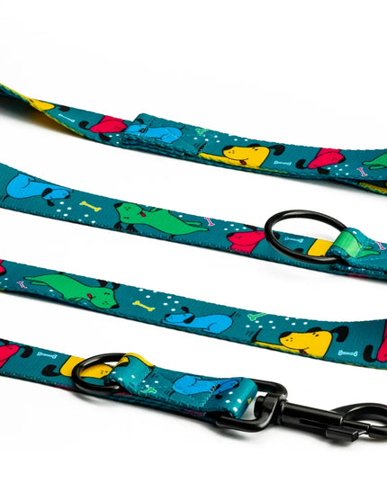 Spalvotas reguliuojamas pavadėlis šunims 4 Funky Pawty Vibes 1,6 cm / 300 cm – S/M