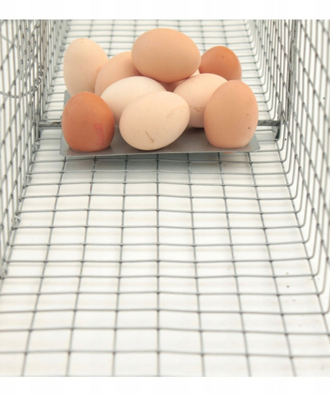 Spąstai kiaunėms, žiurkėms, šeškams, audinėms – profesionali gyvagaudė gaudyklė 50x17x20 cm su masalais ir priedais