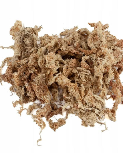 Sphagnum durpyninės samanos 150g Čilė Pietų Amerika PREMIUM