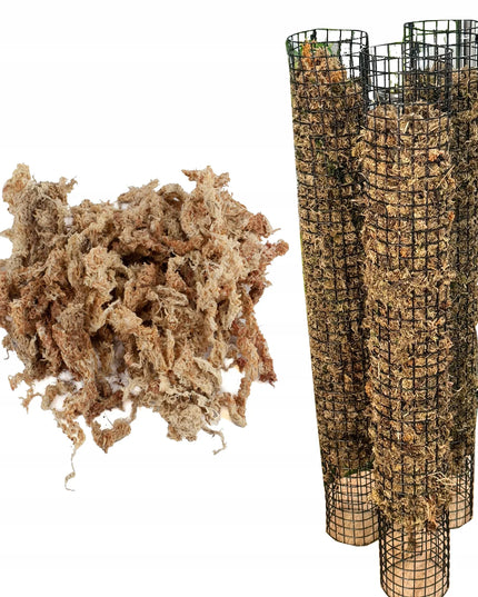 Sphagnum durpyninės samanos 150g Čilė Pietų Amerika PREMIUM