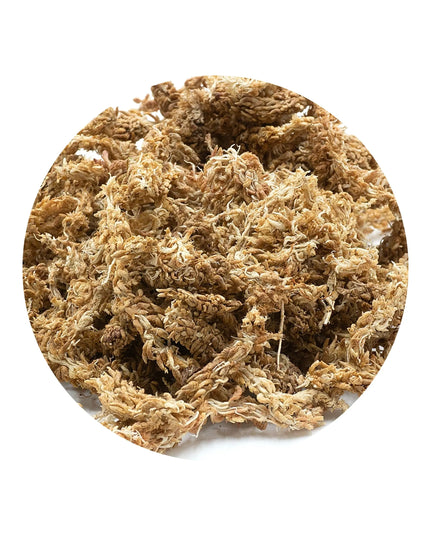Sphagnum durpžsamės, substratas orchidėjoms, augalų įsišaknydinimui, 250g/10L