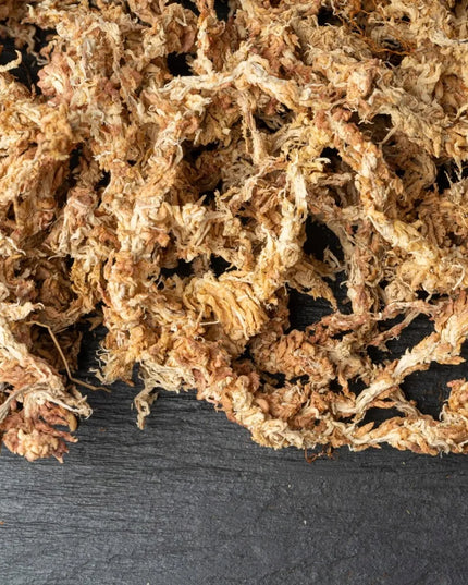 Sphagnum durpžsamės, substratas orchidėjoms, augalų įsišaknydinimui, 250g/10L