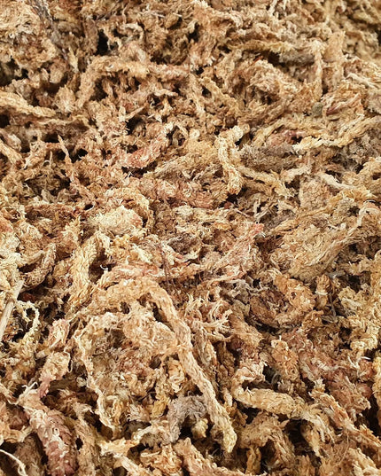 Sphagnum durpžsamės, substratas orchidėjoms, augalų įsišaknydinimui, 250g/10L