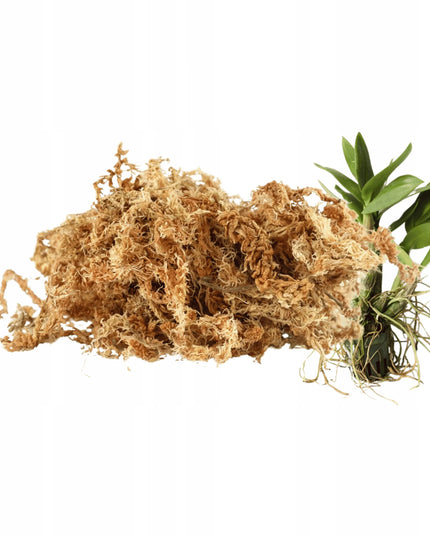Sphagnum durpžsamės, substratas orchidėjoms, augalų įsišaknydinimui, 250g/10L