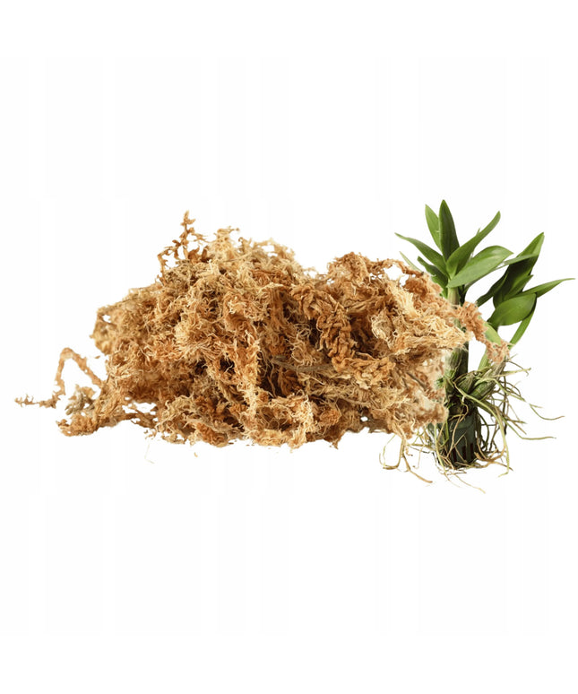 Sphagnum durpžsamės, substratas orchidėjoms, augalų įsišaknydinimui, 250g/10L