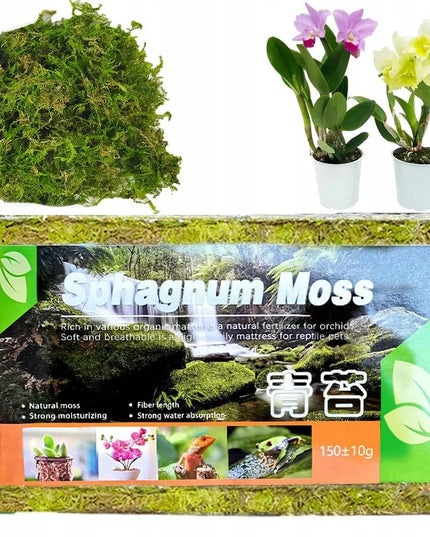 Sphagnum moss durpių samanos, įsišaknyti skatinantis substratas 150 g / 12 l terariumams