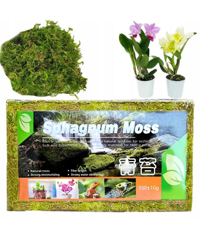 Sphagnum moss durpių samanos, įsišaknyti skatinantis substratas 150 g / 12 l terariumams