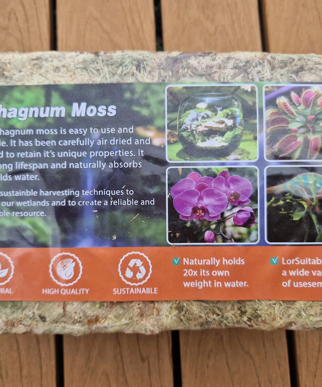 Sphagnum moss durpių samanos, įsišaknyti skatinantis substratas 150 g / 12 l terariumams