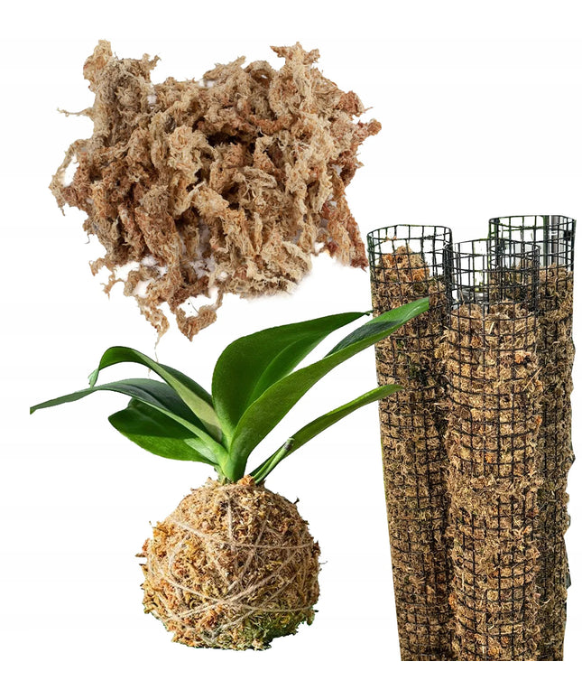 Sphagnum samanos, 150g PREMIUM, Pietų Amerikos