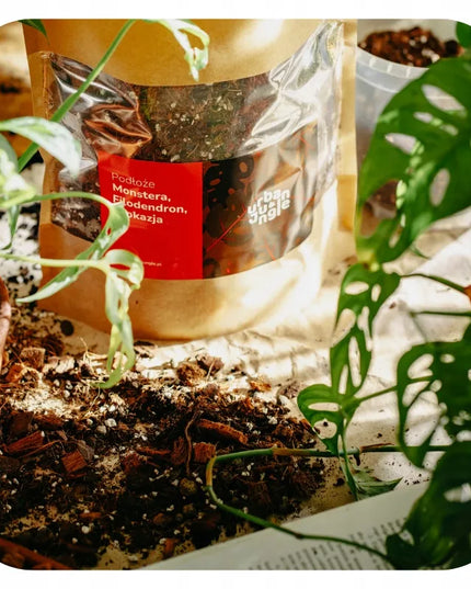Substratas („bigos”) Monsteroms, filodendrams ir alokazijoms Urban Jungle 15L