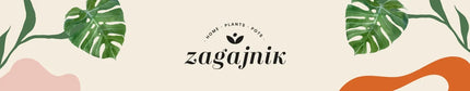 Substratas Hoya ir epifitams Zagajnik