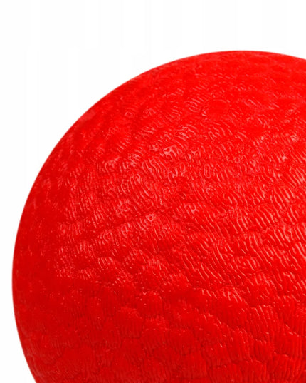 Šuns žaislas WAUDOG Red Ball
