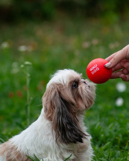 Šuns žaislas WAUDOG Red Ball