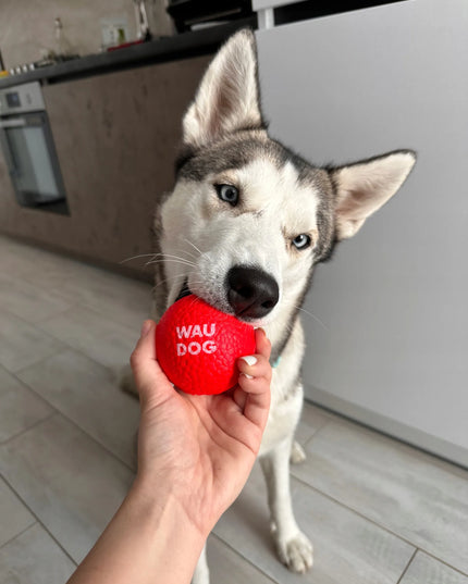 Šuns žaislas WAUDOG Red Ball