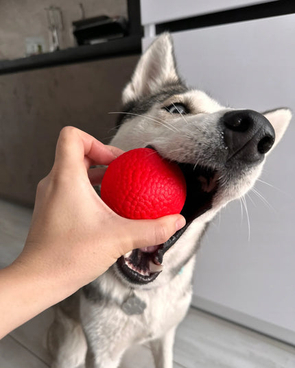 Šuns žaislas WAUDOG Red Ball