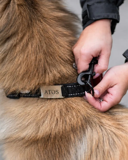 Šunų antkaklis su graviruotu vardu, juodas, šviesą atspindintis HUGGY DOGGY, L dydis