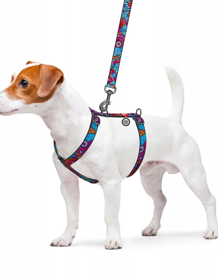 Šunų pavadėlis WAUDOG, nailoninis, raštas Vasara, dydis S, 122 cm, 15 mm
