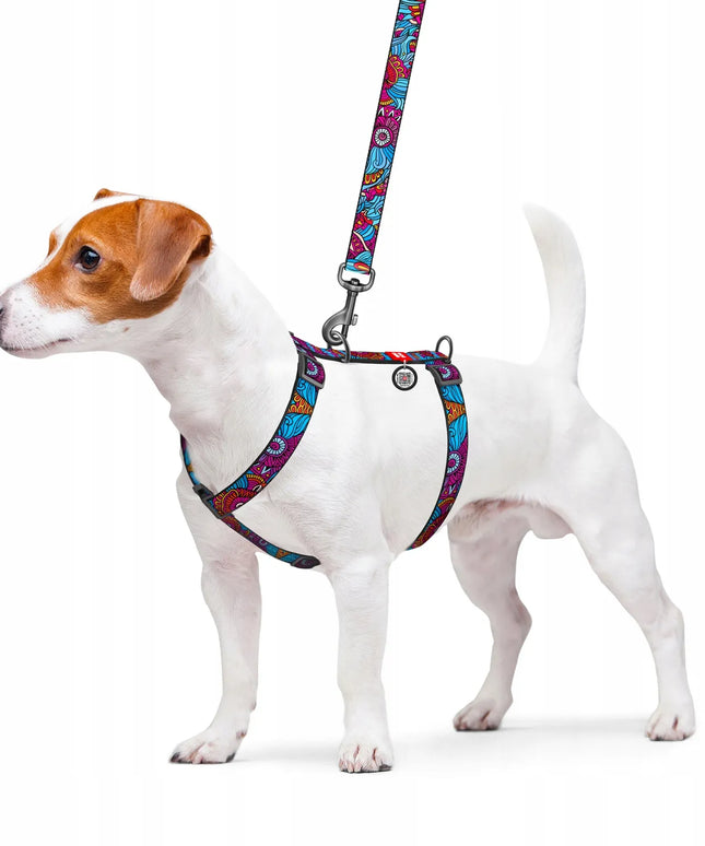Šunų pavadėlis WAUDOG, nailoninis, raštas Vasara, dydis S, 122 cm, 15 mm