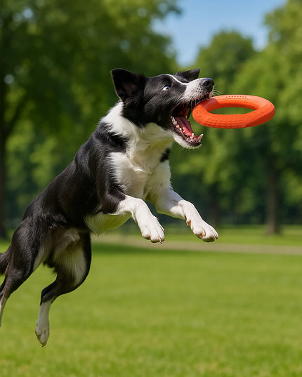 Šunų žaislas „Doggy“ – plūduriuojantis žiedas, 27,5 cm, oranžinis