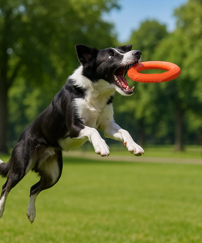 Šunų žaislas „Doggy“ – plūduriuojantis žiedas, 27,5 cm, oranžinis