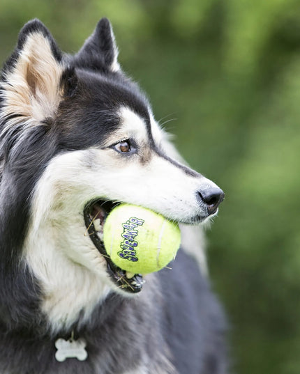 Šunų žaislas KONG SqueakAir Ball, M dydis