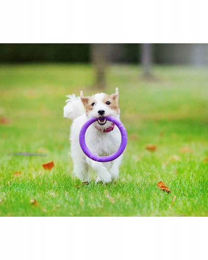 Šunų žaislas PULLER Mini 18 cm – treniruočių žiedai mažų veislių šunims, 2 vnt.