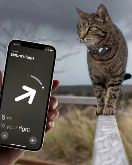 Šviesą atspindintis saugus DKM antkaklis katei su Airtag laikikliu
