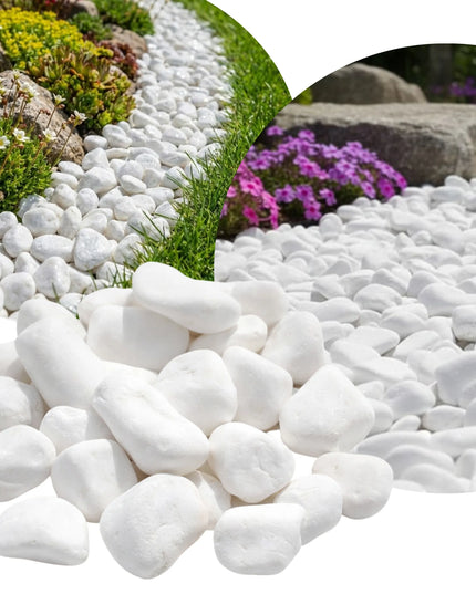 THASSOS baltas dekoratyvinis akmuo sodui, vazonams, alpinariumams 2-4 cm 2 kg