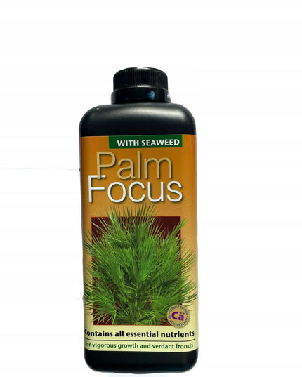 Trąšos palmėms Growth Technology PALM FOCUS 1L