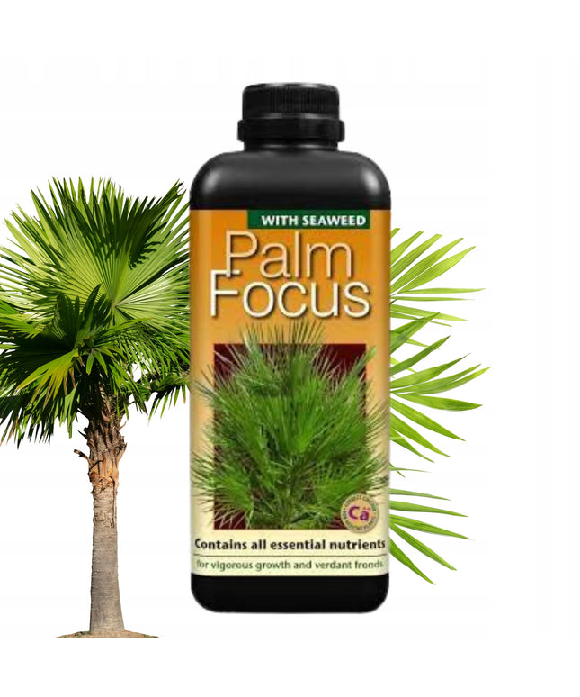 Trąšos palmėms Growth Technology PALM FOCUS 1L