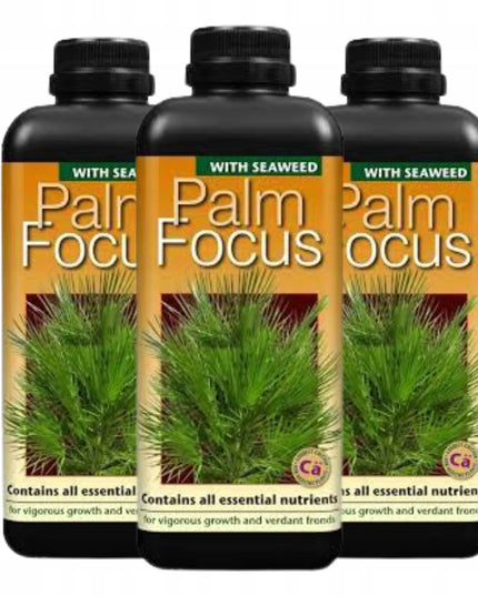 Trąšos palmėms Growth Technology PALM FOCUS 1L
