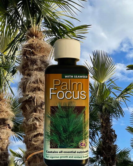 Trąšos palmėms PALM FOCUS 300ml Growth Technology idealiai subalansuotos