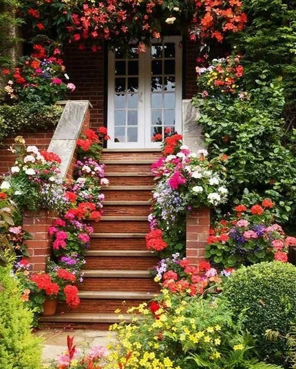 Trąšos pelargonijoms ir žydintiems augalams PLANTON K