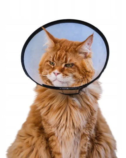 TRIXIE apsauginė veterinarinė pooperacinė apykaklė šunims ir katėms XS