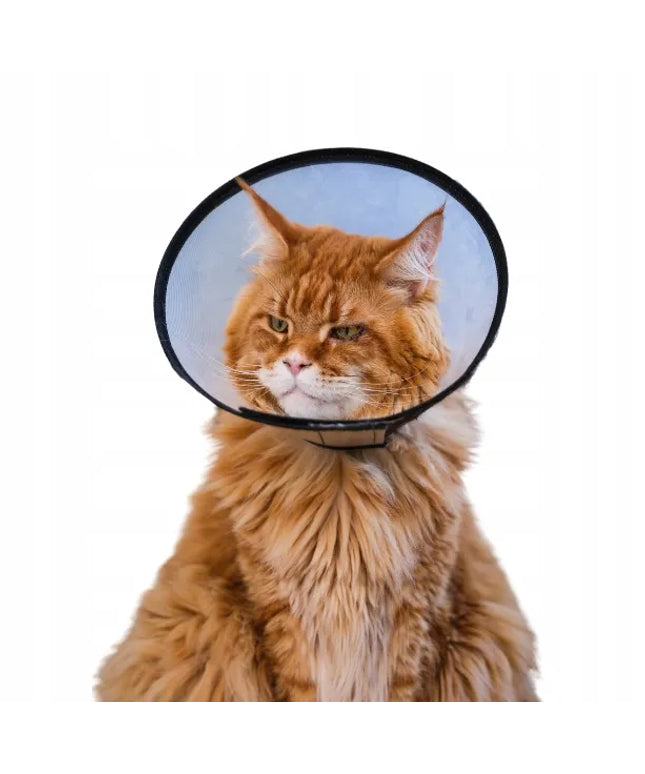 TRIXIE apsauginė veterinarinė pooperacinė apykaklė šunims ir katėms XS