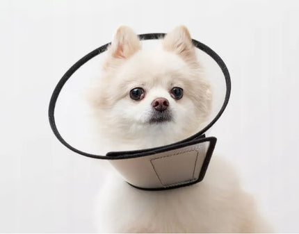 TRIXIE apsauginė veterinarinė pooperacinė apykaklė šunims ir katėms XS